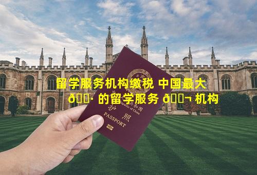 留学服务机构缴税 中国最大 🌷 的留学服务 🐬 机构